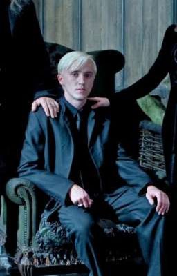 [Harry Potter] Draco Malfoy X Y/N