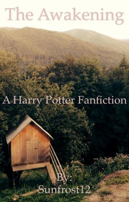 Harry Potter Fanfic- The Awakening 