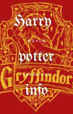 Harry Potter Info: All You Need To Know (Journal)