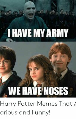 HARRY POTTER MEMES