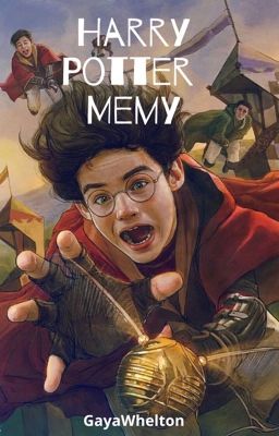 Harry Potter MEMY