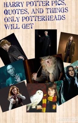 Harry Potter Pics, Quotes and Things Only Potterheads Will Get