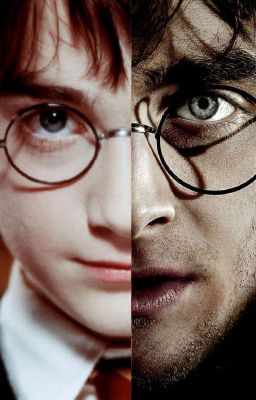 Harry Potter : Preferences & Imagines ( HP X READER)