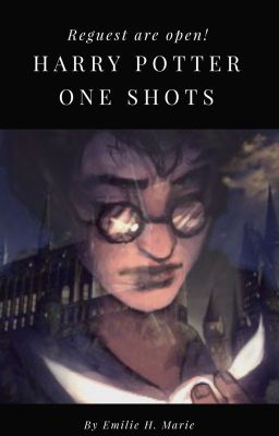 Harry Potter x Reader One Shots