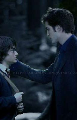 ○Harry Potter x Twilight● I love you
