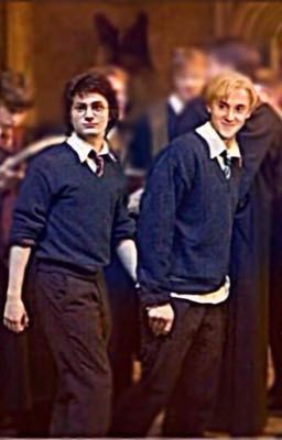 [Harrypotter] [Darco x Harry]Perfect life ahead 