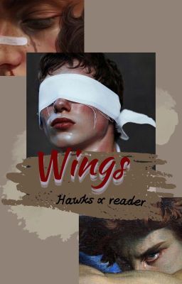 Hawks x reader [ đôi cánh ]