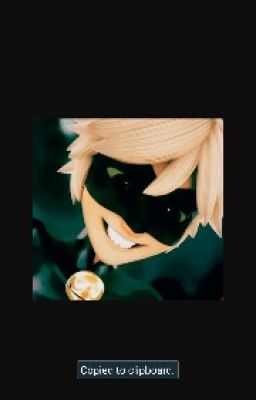 ~Heros~Chat Noir (Adrian) x Reader