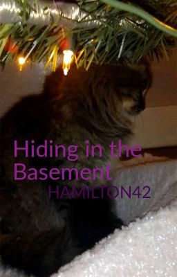 Hiding in the basement (short story)