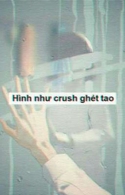 Hình như crush ghét tao 