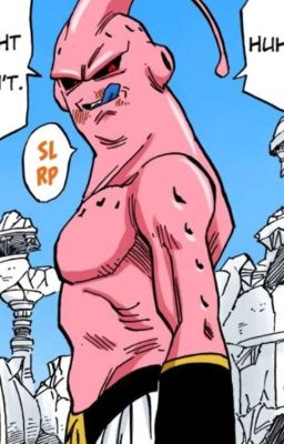 His Wish (Super Buu x Fem!reader)