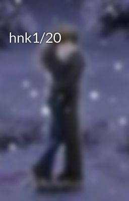 hnk1/20