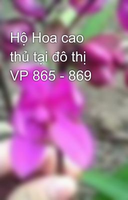 Hộ Hoa cao thủ tại đô thị VP 865 - 869