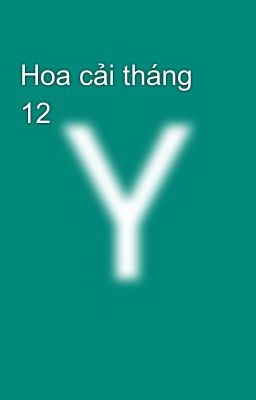 Hoa cải tháng 12