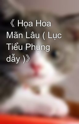 《 Họa Hoa Mãn Lâu ( Lục Tiểu Phụng dẫy )》