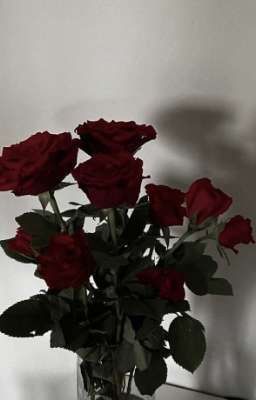 Hoa hồng đỏ 