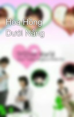 Hoa Hồng Dưới Nắng