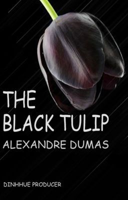 Hoa tulip đen (full)