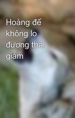 Hoàng đế không lo đương thái giám