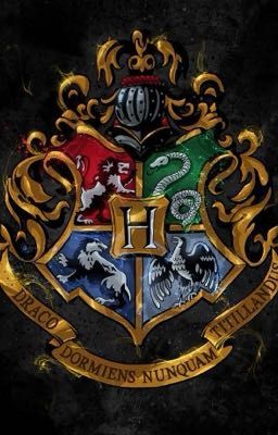 |Hogwarts và em| |Đồng nhân|。Harry Potter tổng hợp chuyện 。