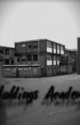 Holdings Academy ~ A Continued Roleplay