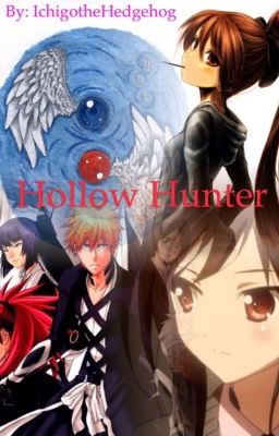 Hollow Hunter: a Bleach Fan Fiction