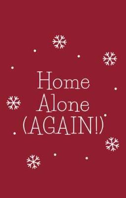 Home Alone (AGAIN!) ~ LARRY STYLINSON