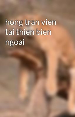 hong tran vien tai thien bien ngoai