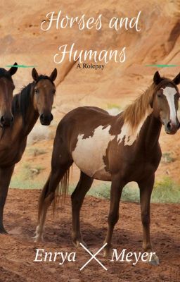 Horses and Humans- A Roleplay