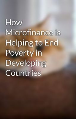 How Microfinance is Helping to End Poverty in Developing Countries