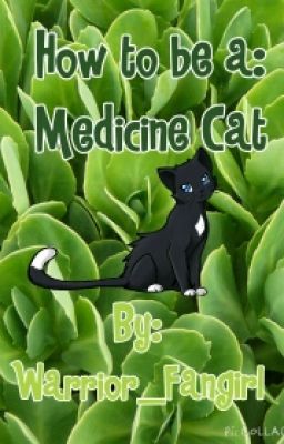 How to be: A Medicine Cat