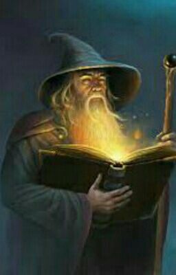 How to be a perfect wizard