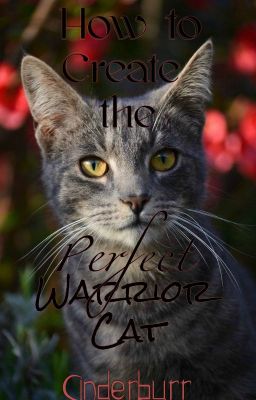 How to Create the Perfect Warrior Cat