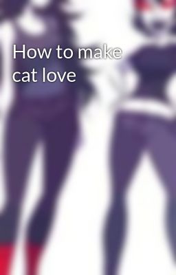 How to make cat love