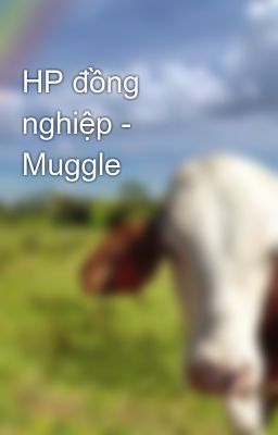 HP đồng nghiệp - Muggle