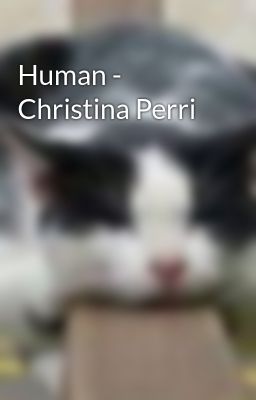 Human - Christina Perri