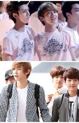 (Hunhan- Chanbaek-Đam mĩ) Si Tâm Tuyệt Đối