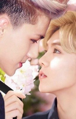 [HunHan] Em yêu thầy, Ngô Thế Huân