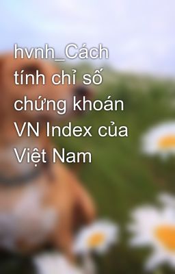 hvnh_Cách tính chỉ số chứng khoán VN Index của Việt Nam