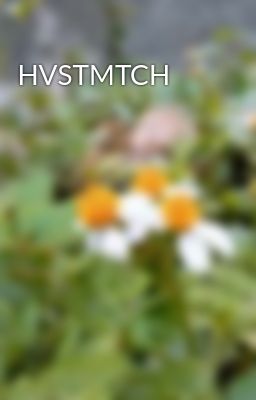 HVSTMTCH