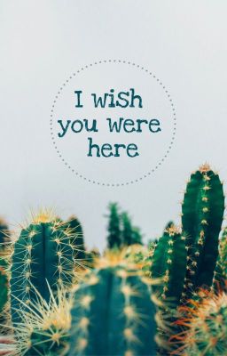 I Wish You Were Here