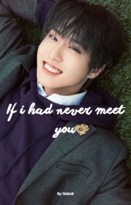 If i had never meet you - Minsung