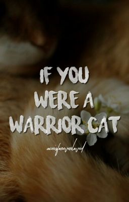 [ if you were a warrior cat ]