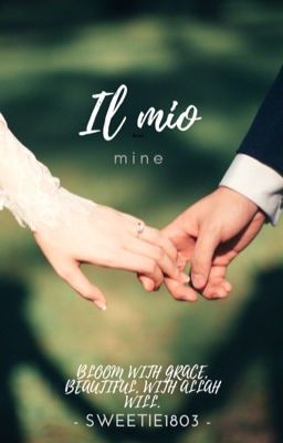 il mio (mine)