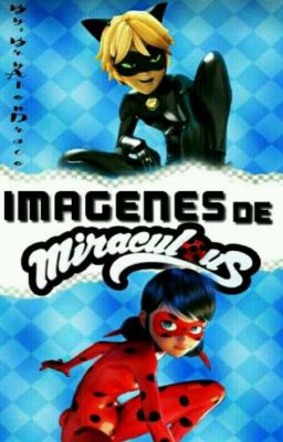 Imagenes de Miraculous Ladybug