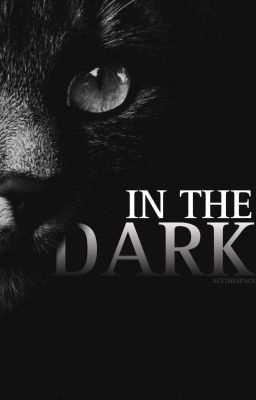 In The Dark | warrior cats