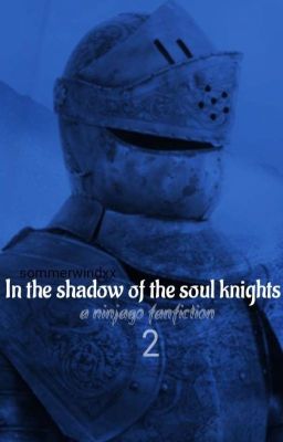 In the shadow of the soul knights