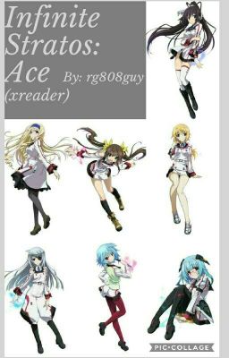 Infinite Stratos:Ace (X Male Reader)