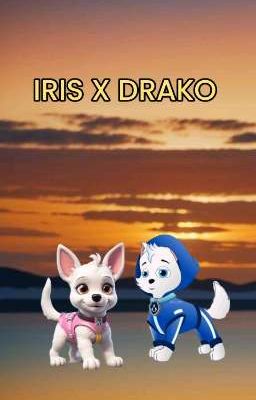 IRIS X DRAKO 