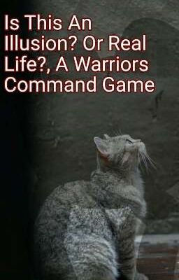 Is This An Illusion? Or Real Life, A Warriors Command Game